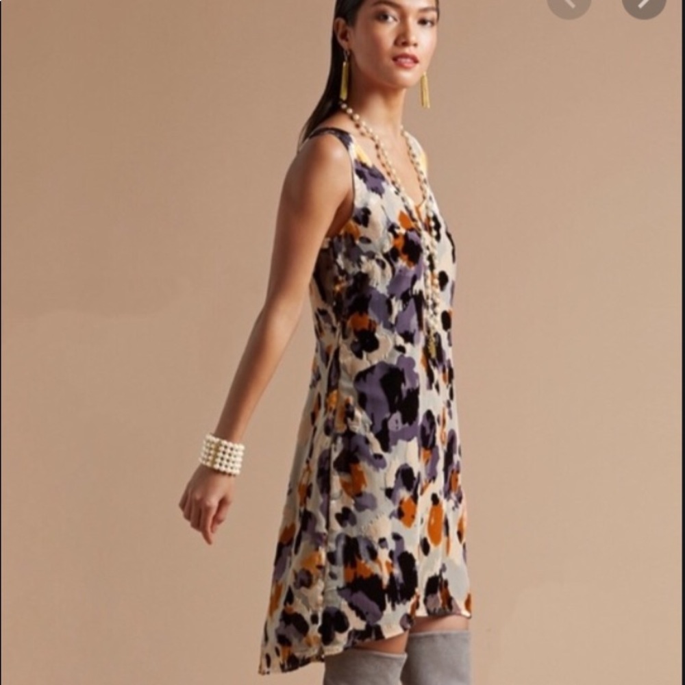CAbi Radiant Dress
